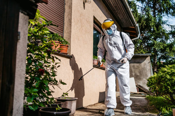 Best Mosquito Control Services  in Catalina Foothills, AZ