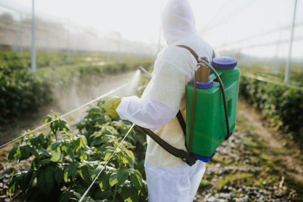 Best Pest Control Near Me in Catalina Foothills, AZ